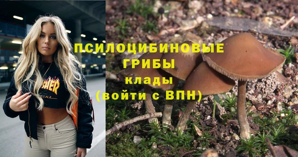MESCALINE Аркадак