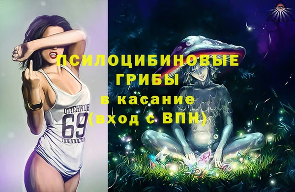 MESCALINE Аркадак