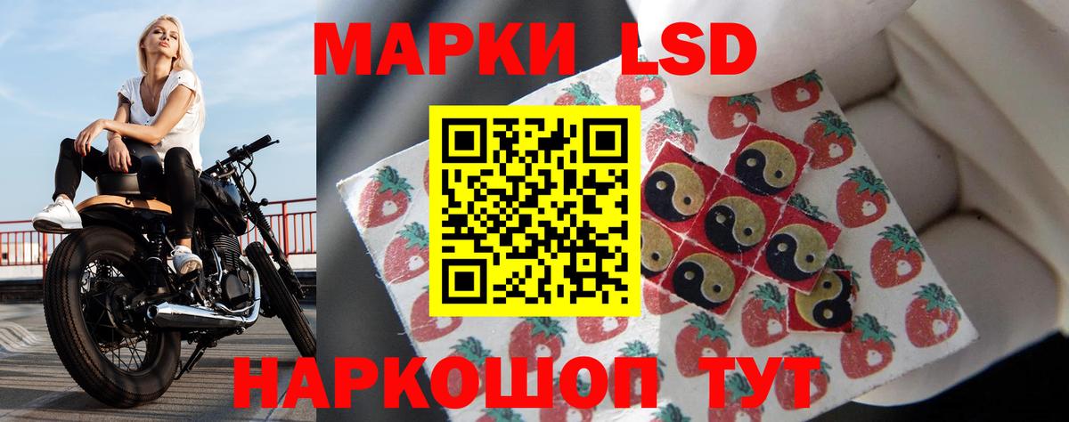 Курган  Лсд 25 экстази кислота  ЛСД экстази кислота  Вход с VPN 