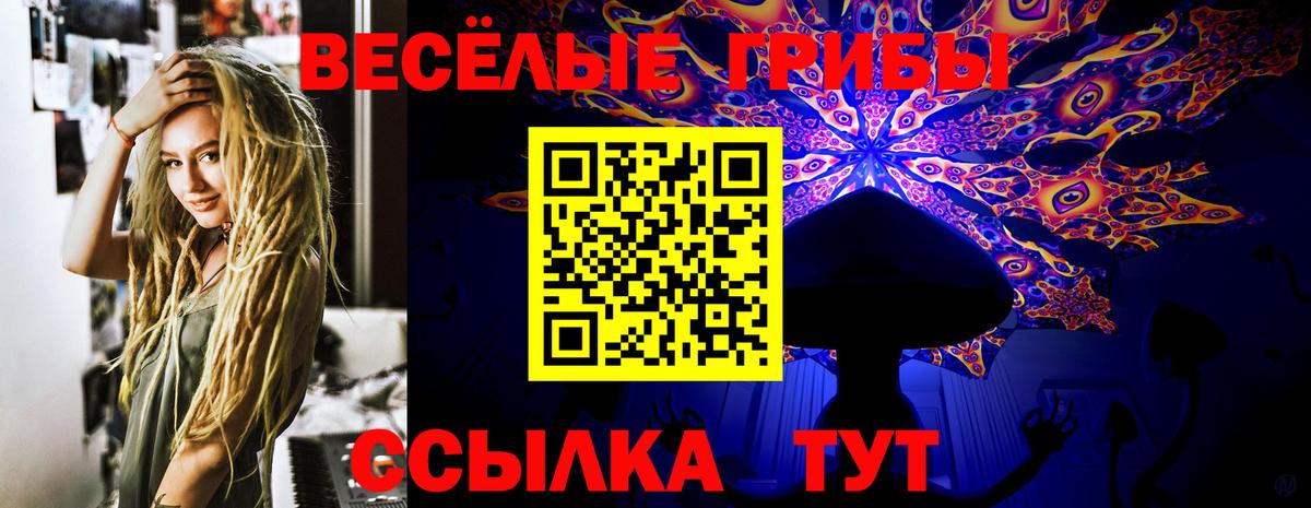 Курган  как найти   Вход с VPN  Псилоцибиновые грибы мицелий 
